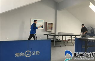 趣味运动强体魄，文化交融润心田——莱山公路部门创新举措丰富职工文化生活